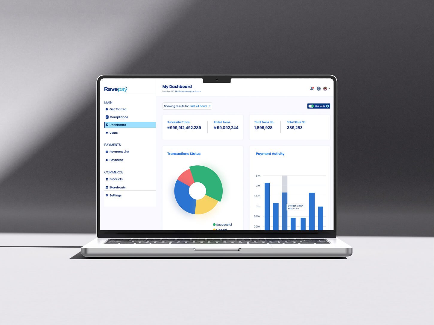 Cover image of the Ravepay project